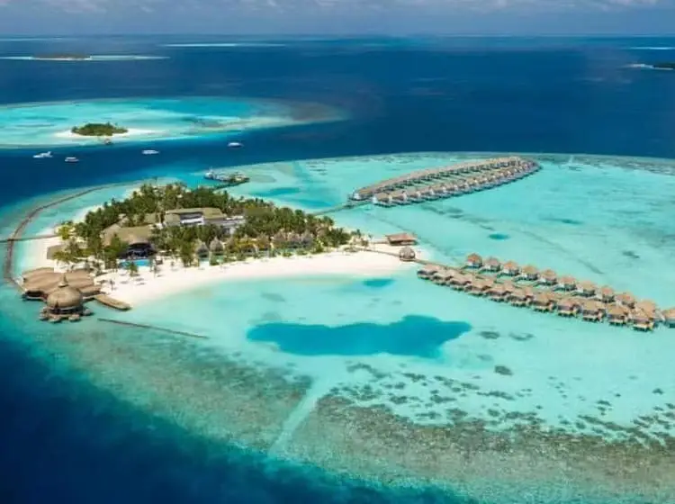 Outrigger Maldives Maafushivaru Resort - 5-Star Maldives Resort